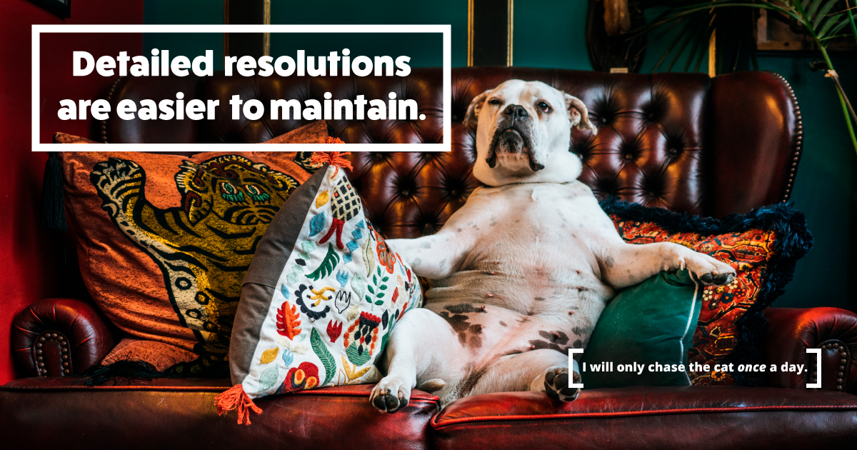 A bulldog lounges in a chair with colorful pillows. Small text reads 