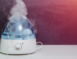 Mist rises from a humidifier.